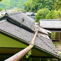 画像313
