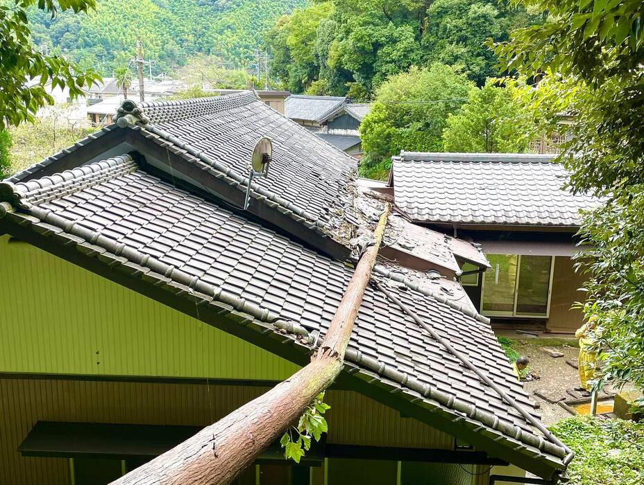 画像313