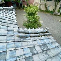 画像414