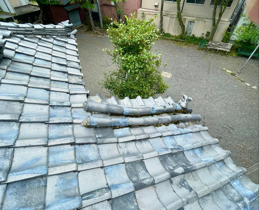 画像414