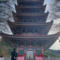 画像423